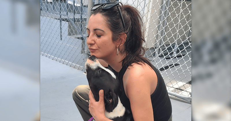 Liz rescued a puppy named Juliette