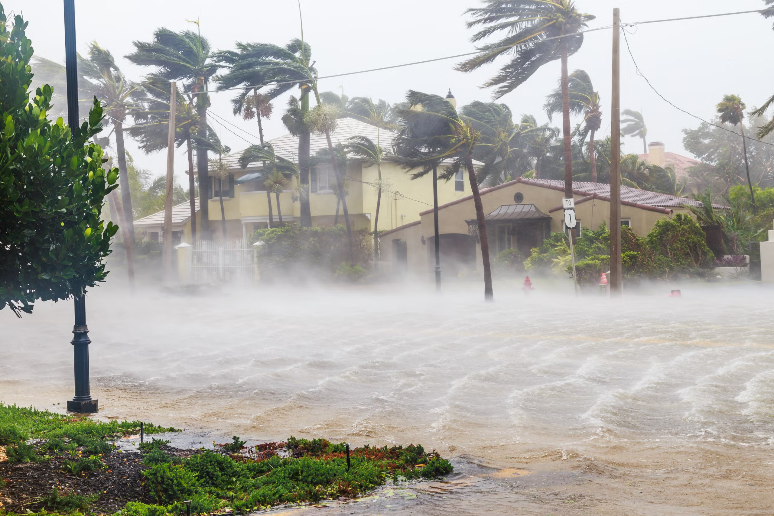 Image: hurricane wind damaging houses